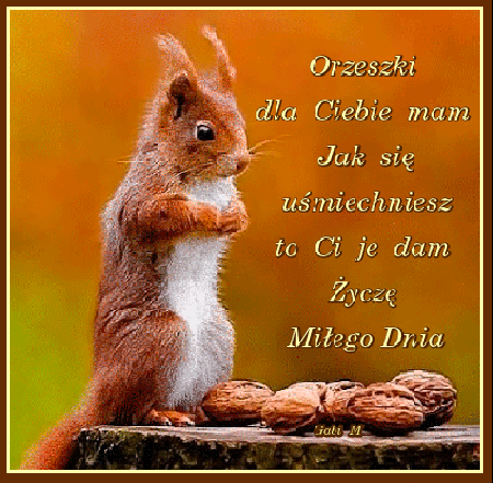 Wiewiórka z orzechami życzy miłego dnia